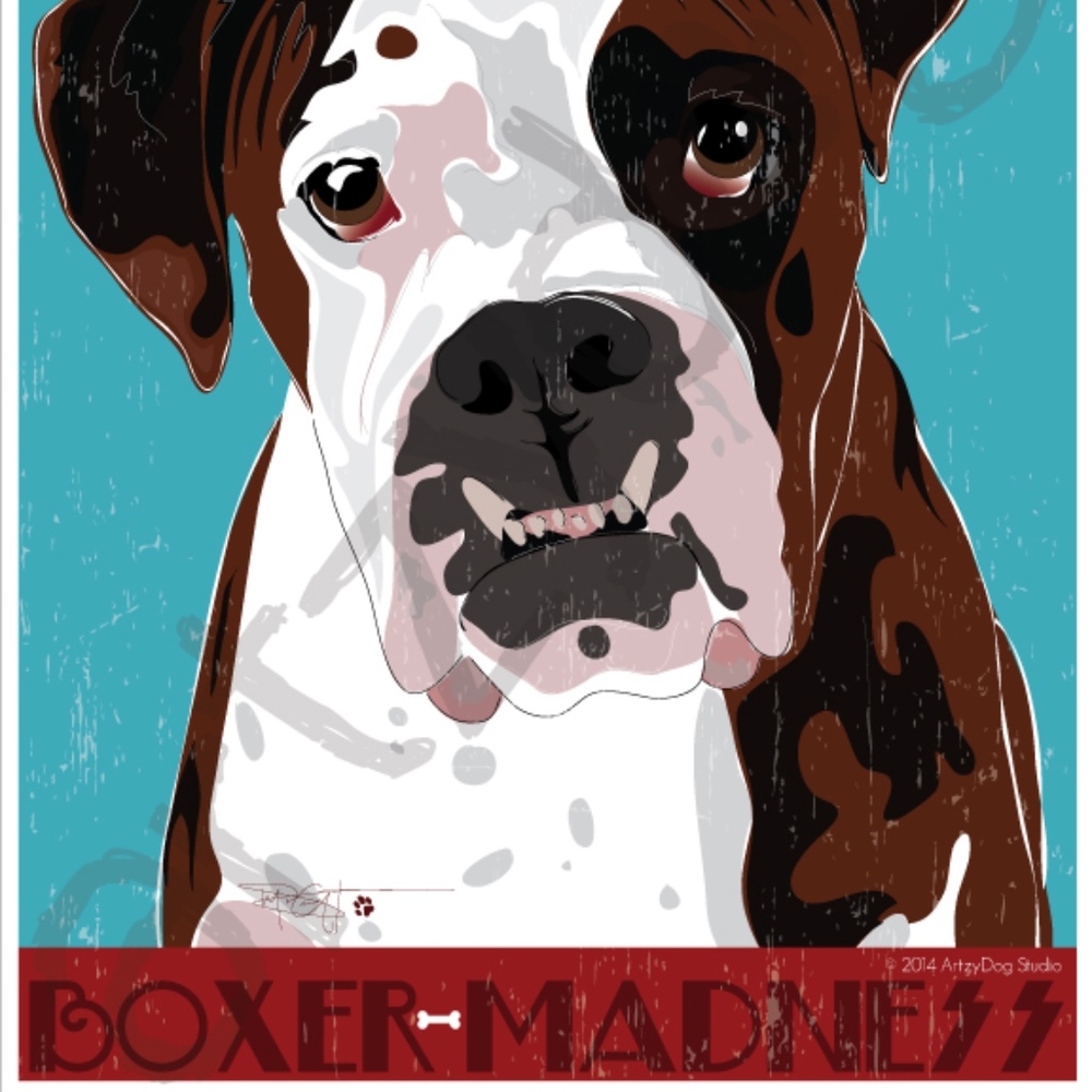 Boxer Madness